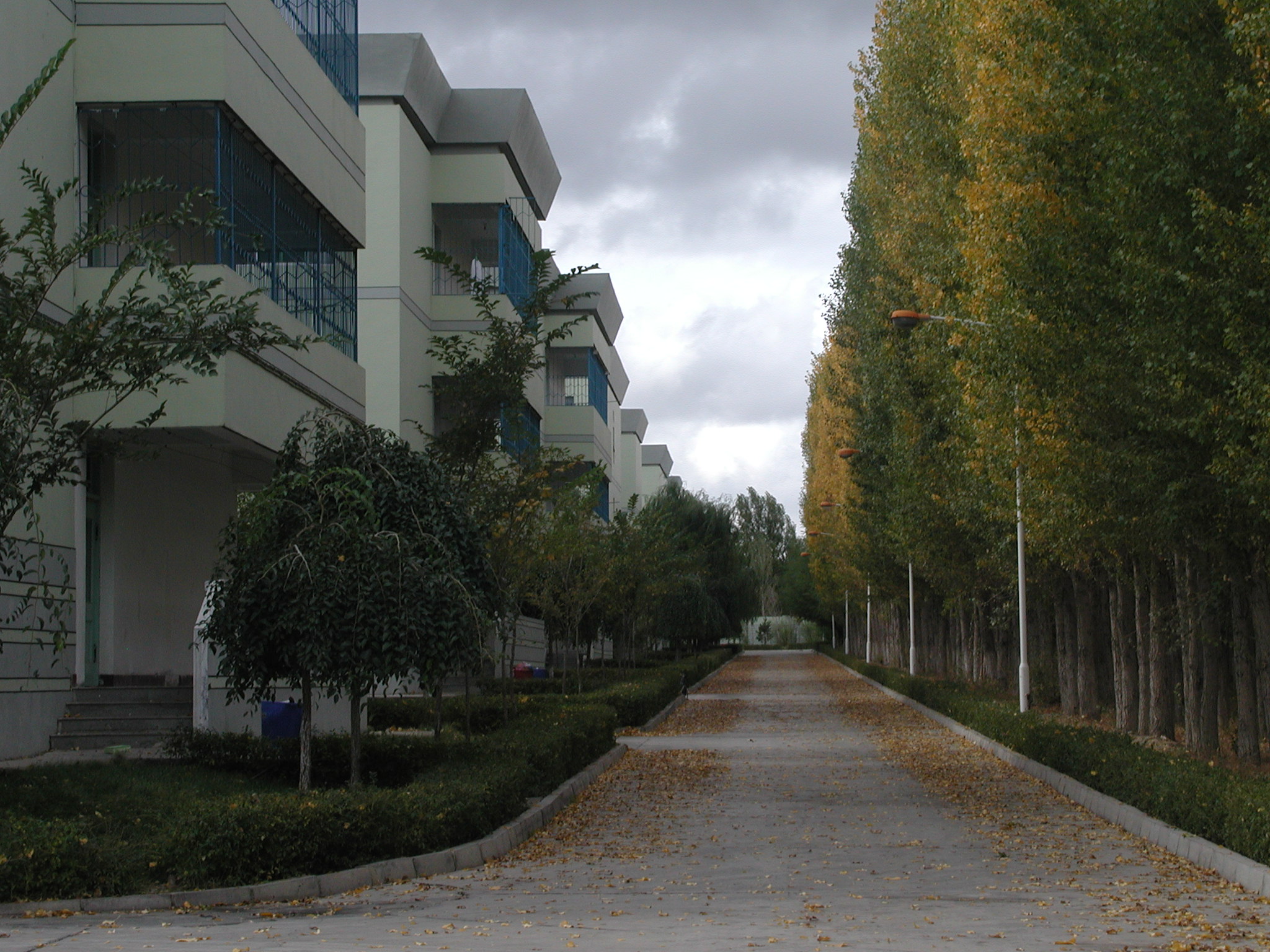 新疆大光华国际学校(原私立光华学校)招聘信息