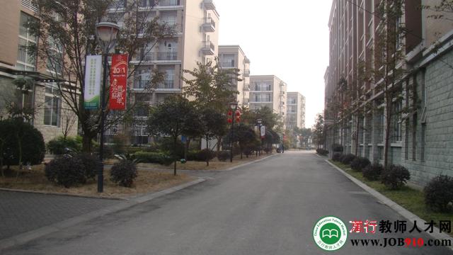 北大附中成都新津为明学校招聘信息-万行教师