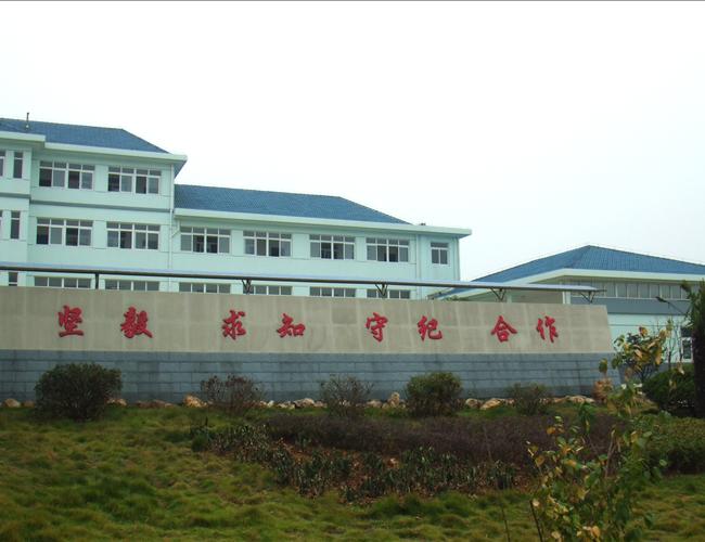 巢湖市私立斯辰学校