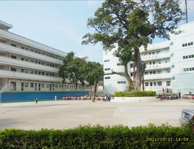 东莞市清溪金阳小学招聘信息-万行教师人才网