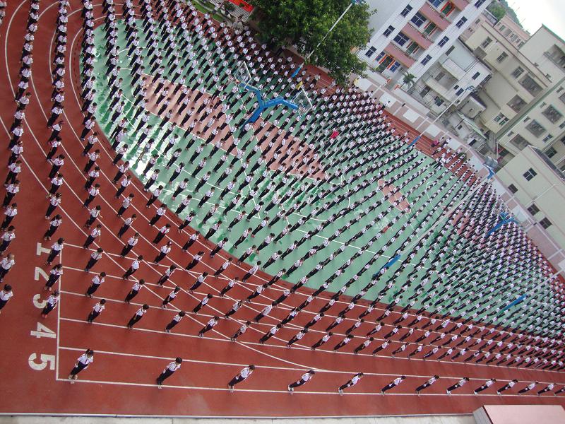 东莞市凤岗镇方正小学招聘信息-万行教师人才网