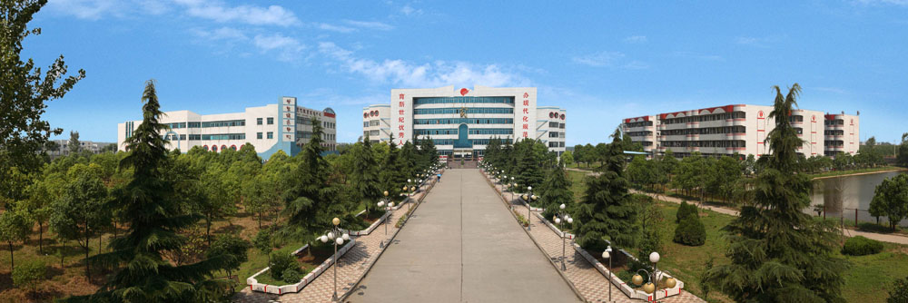 湖北荆州成丰学校