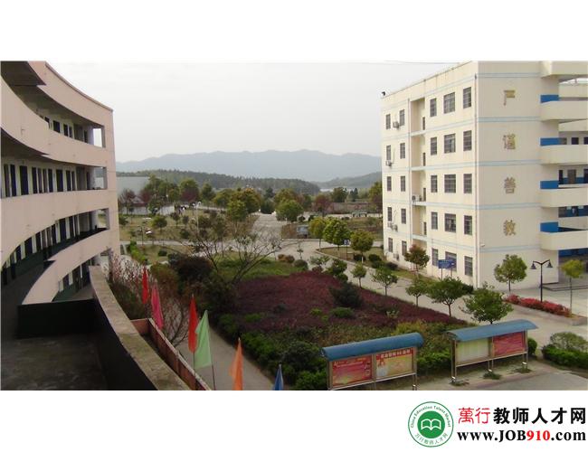 枞阳实验中学图片图片